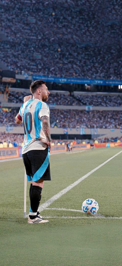 综合体育用户关注榜 热度最高项目排行